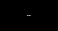Desktop Screenshot of daveseidman.com